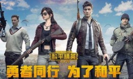 和平精英衣服爆料视频,揭秘爆料视频中的神秘时装