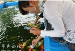 女子爆料自家鱼塘事件视频,揭秘背后惊人真相
